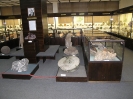 Внутренняя экспозиция музея